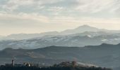 Tour Zu Fuß Scandiano - Anello di Ca' de Caroli - Photo 5