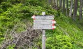 Trail Walking Innichen - San Candido - J1 Refuge Dreischusterhütte - Photo 3