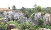 Trail Walking Viroinval - Viroinval - Photo 2
