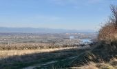 Tocht Stappen Tournon-sur-Rhône - Le Pas du géant  - Photo 3