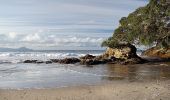 Excursión A pie Unknown - Te Araroa - 01 Northland - h Whangarei Heads to Bream Bay - Photo 3