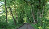 Tour Zu Fuß Angermünde - Uckermärker Landrunde - Photo 3