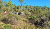 Trail Walking Fréjus - Malpey avec pierre le 15/11/2024 - Photo 4