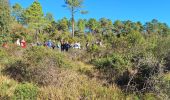 Tour Wandern Fréjus - Malpey avec pierre le 15/11/2024 - Photo 4