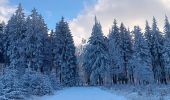 Tocht Stappen Spa - berinzenne entre forêt et fagne  - Photo 14