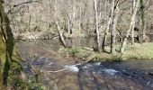 Excursión Senderismo Goulles - Les tours Carbonnieres - Photo 8