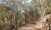 Trail Walking Mörsdorf - pont suspendu de Geierlay - Photo 13