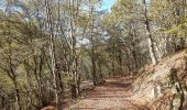 Tocht Stappen Mörsdorf - pont suspendu de Geierlay - Photo 13