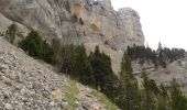 Trail Walking Romeyer - Col des Bachassons depuis Romeyer - Photo 14