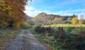 Trail Walking La Bourboule - Bourboule-puy-st-roch-retour-Bourboule - Photo 7