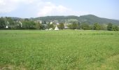 Excursión A pie Gratwein-Straßengel - Wanderweg 34 Rein - Mühlbacherhütte - Photo 4