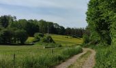 Trail Walking Esneux - 3e étape du GR57 - ESNEUX TO COMBLAIN-LA-TOUR  - Photo 15