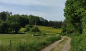 Randonnée Marche Esneux - 3e étape du GR57 - ESNEUX TO COMBLAIN-LA-TOUR  - Photo 15