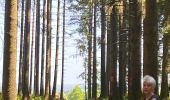 Trail Walking Paliseul - Maissin, pvl juillet 2025 - Photo 3