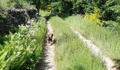 Trail Walking Saint-Fortunat-sur-Eyrieux - 07 st fortunat dubieres st Vincent dufort - Photo 7