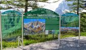 Tour Zu Fuß Ramsau am Dachstein - Torwanderung - Photo 1