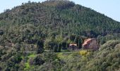 Tour Wandern Fréjus - Pk MF du Malpey - Piste des Malavalettes par Carrefour Roche Noire - Photo 10