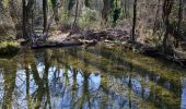 Trail Walking Tourves - SityTrail - Tourves- Le Saut du Cabri - Les gorges du Caramy - Photo 2