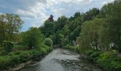 Tour Wandern Blegny - GR5 - BLEGNY -> FRAIPONT  - Photo 3
