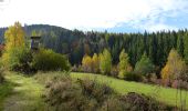 Trail On foot Baiersbronn - Mitteltal - Kniebis - Photo 4