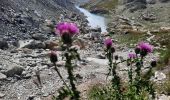 Excursión Senderismo Saint-Paul-sur-Ubaye - col de la gypiere  - Photo 19