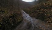 Percorso Mountainbike Virton - Aux sources du Ton  -  Balade_VTT_35kms - Photo 13