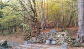 Tour Wandern Spa - musée du l'avoir		+ bois de Spa + étang de Chawion - Photo 15