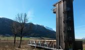 Excursión A pie Aschau im Chiemgau - Wanderweg 1 - Von Sachrang nach Walchsee - Photo 6