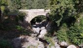 Tocht Stappen Céret - le ventous ceret - Photo 2