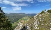 Tocht Stappen Saint-Agnan-en-Vercors - Rocher du mas (vercors) - Photo 19