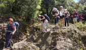 Excursión Senderismo Toulaud - l'Embroye - Photo 1