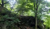 Percorso Marcia Bertrix - la roche percée  - Photo 16