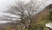 Percorso A piedi Marradi - L’Acquacheta e il Monte Lavane - Photo 1