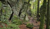 Trail Walking Echternach - Mullerthal E1 - Photo 16