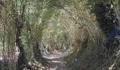 Excursión Senderismo Ménil-Hubert-sur-Orne - De Rouvroy aux Roches d'Oetre par le sentier des Méandres  - Photo 1