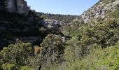 Tour Wandern Gordes - abbaye de senanque par gordes - Photo 9