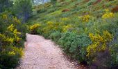 Trail Walking Cassis - SityTrail - cassis la couronne - Photo 4