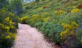 Randonnée Marche Cassis - Cassis - La couronne de Charlemagne - Cap canaille - Photo 4