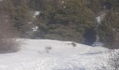 Trail Walking Briançon - briancon - Photo 1
