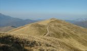 Excursión A pie Bușteni - Bușteni - Orjogoaia - Trăisteni - Photo 1