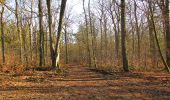 Randonnée Marche Vieux-Moulin - en forêt de Compiègne_25_les Tournantes du Mont Saint-Pierre - Photo 15