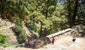 Tour Zu Fuß El Paso - Wikiloc - Caldera de taburiente Los Brecitos to Parking Barranco de las Angustias - Photo 14