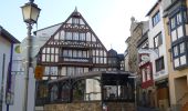 Tocht Te voet Rüdesheim am Rhein - Rheingauer Klostersteig Zuweg Assmannshausen - Photo 4