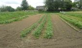 Randonnée Marche Freneuse - 20220630-Freneuse - Photo 10