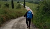 Tour Wandern Castelfiorentino - Coiano /  Pancole - Photo 7