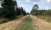 Tocht Stappen Malmedy - La cascade du Bayehon  - Photo 5