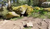 Excursión Senderismo Ceyrat - GORGES DE CEYRAT EN BOUCLE PAR BERZET - Photo 10