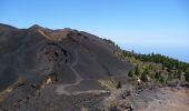 Tocht Stappen El Paso - Wikiloc - La Palma: Cumbre Vieja Vulkaanroute half - Photo 5