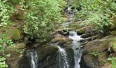 Trail Walking Killarney Municipal District - Muckross House and the Torc water falls - Photo 10