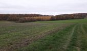 Trail Walking Onhaye - Weillen 171120 - Photo 3